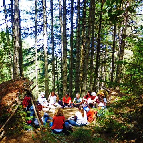 Sharing Circle in the forrest The Happiness Retreat
