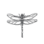 Areion logo