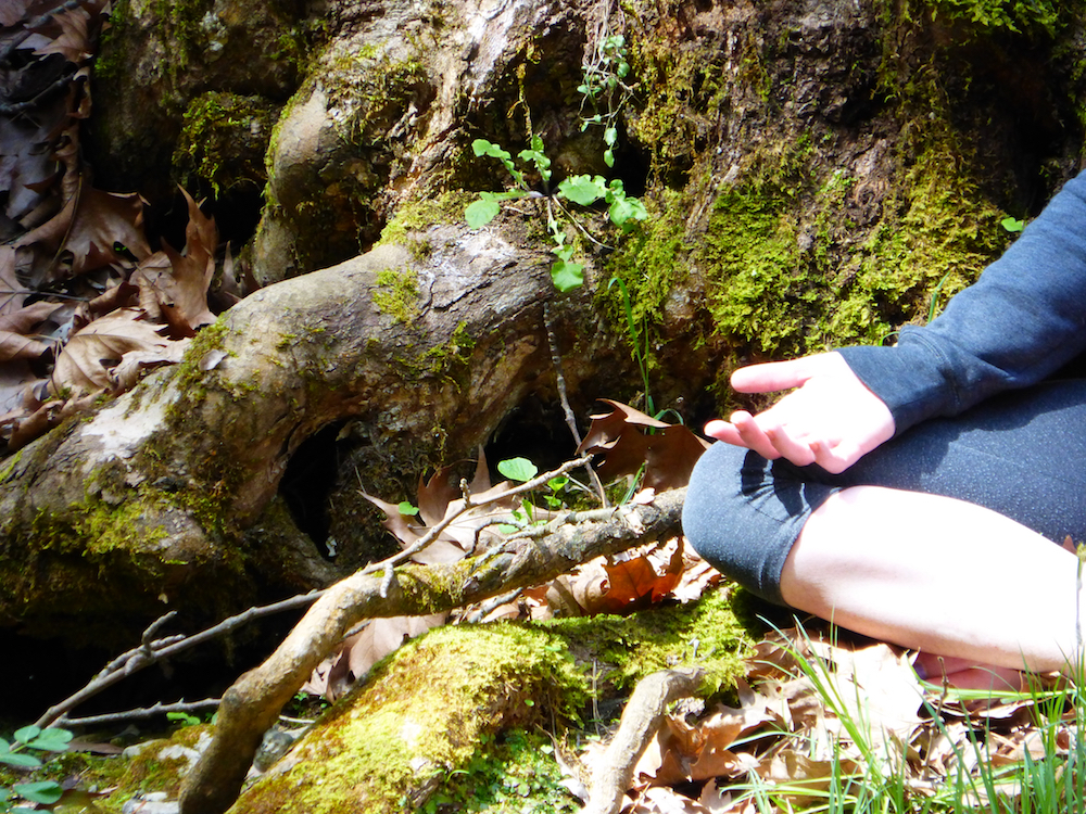 The Happiness Retreat Meditation in the Forrest 