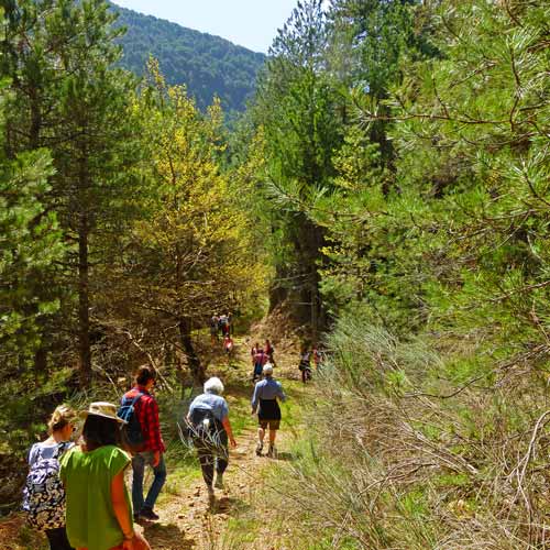 The Happiness Retreat - Apostolia Papadamaki - Spring hike in Regreen Seliana