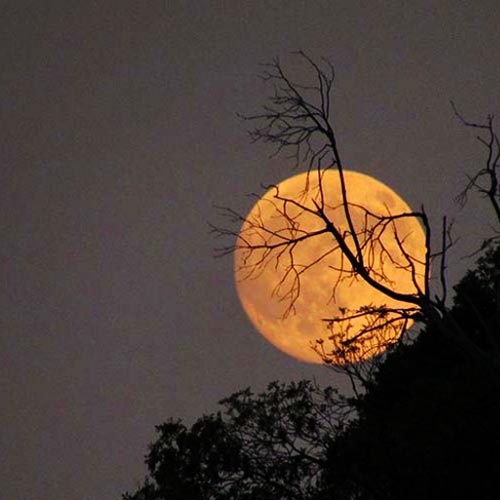The Happiness Retreat - Apostolia Papadamaki - Full Moon Ritual