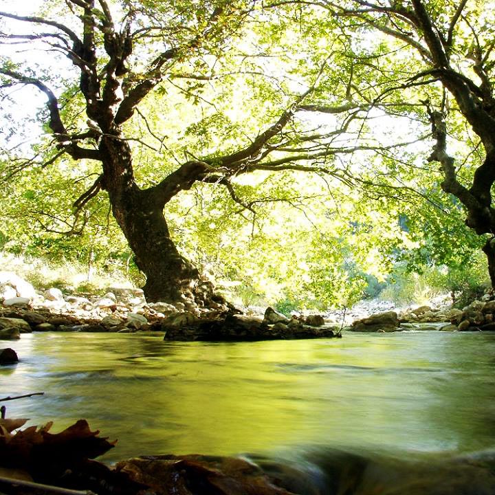 The Happiness Retreat - Apostolia Papadamaki - Neda River, Peloponnese
