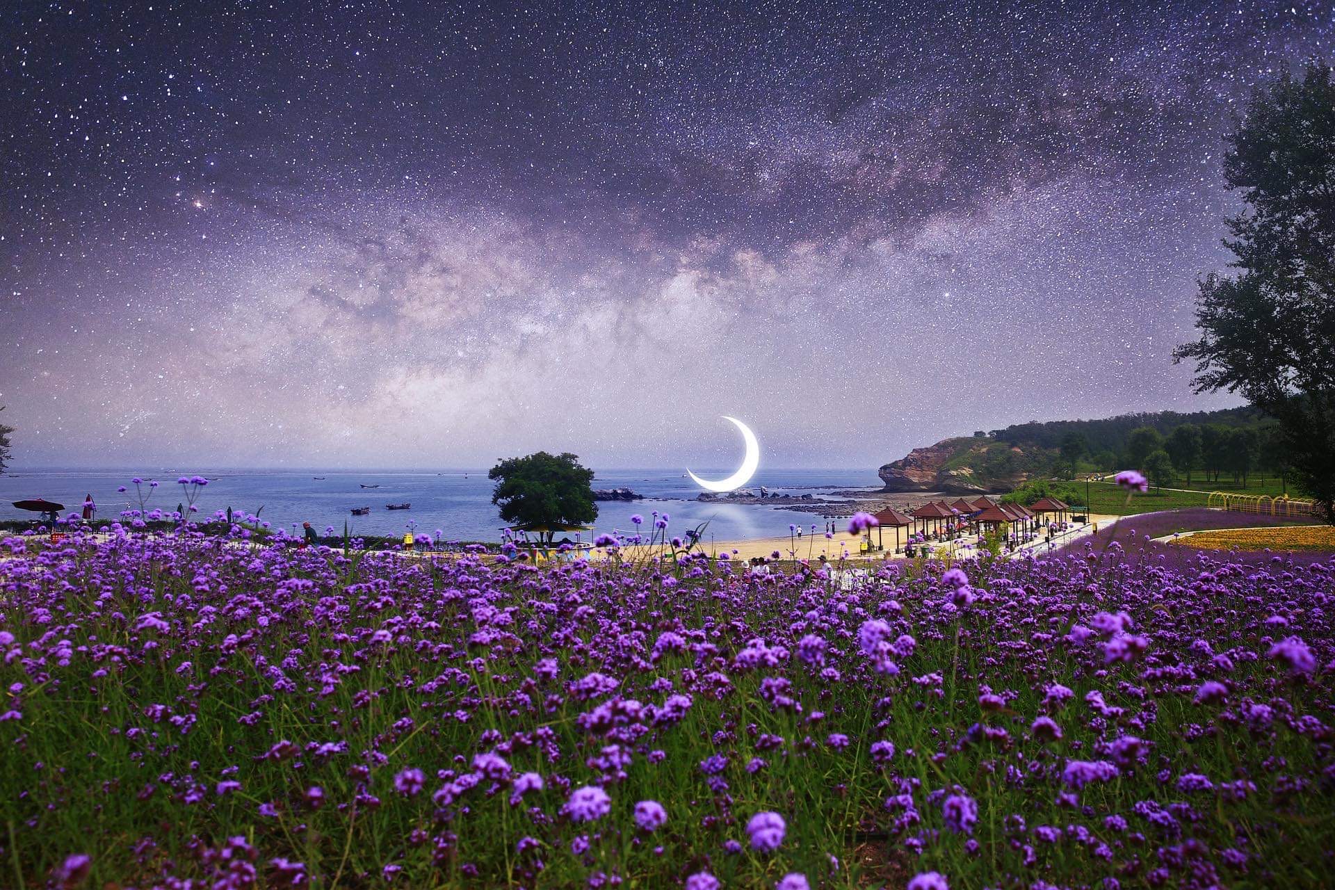 NEW MOON MAY 2022